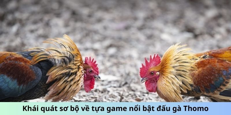 Khái quát sơ bộ về tựa game nổi bật đấu gà Thomo