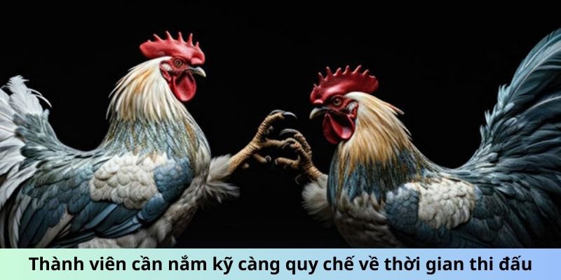 Thành viên cần nắm kỹ càng quy chế về thời gian thi đấu